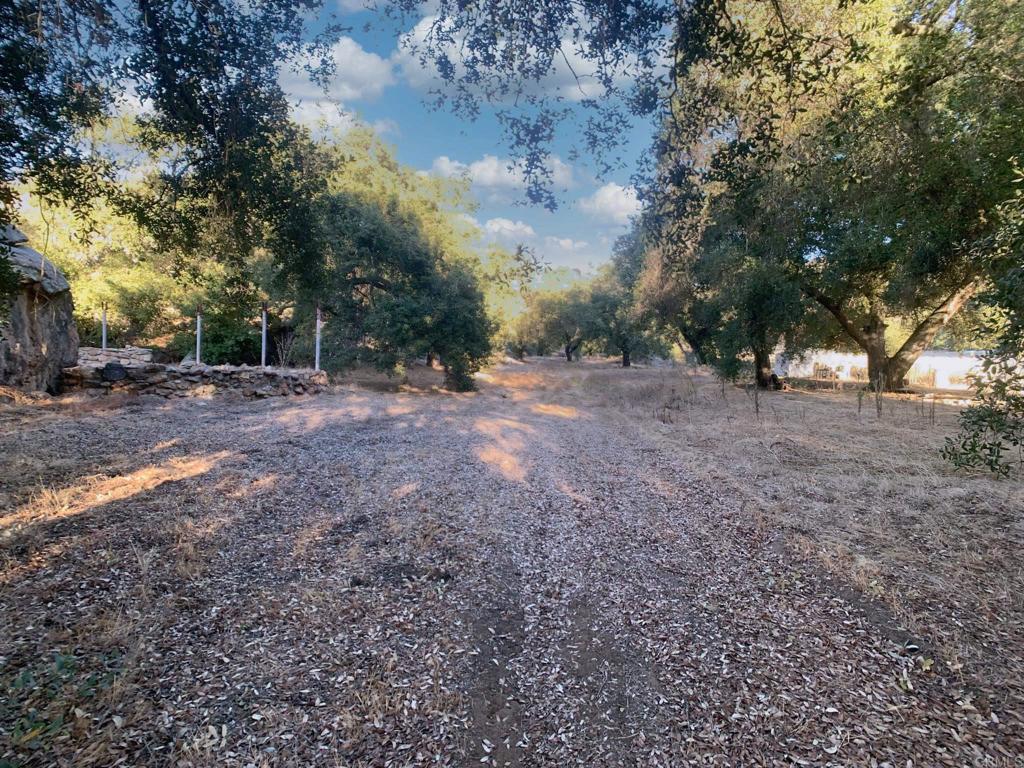 MLS #PTP2506313 image #39