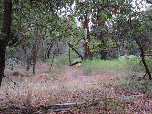0 E Hilton, Boulder Creek CA: https://media.crmls.org/mediaz/a4104cfd-b1aa-4711-96f8-b281f7abc52e.jpg