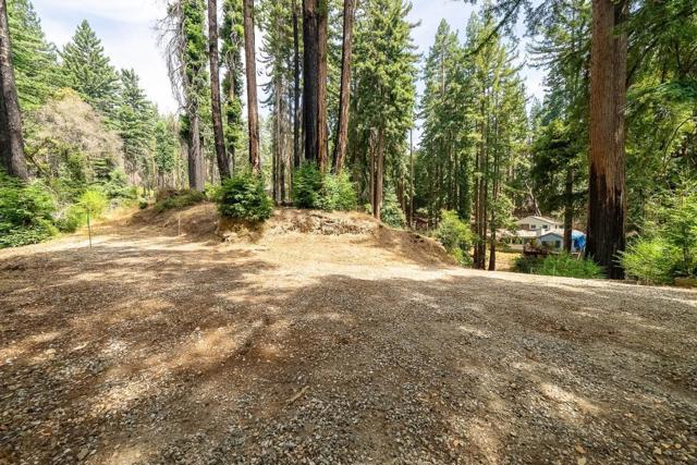 1035 Rambling Road, Boulder Creek CA: https://media.crmls.org/mediaz/a420af80-4754-43ad-8361-37b7ba500156.jpg