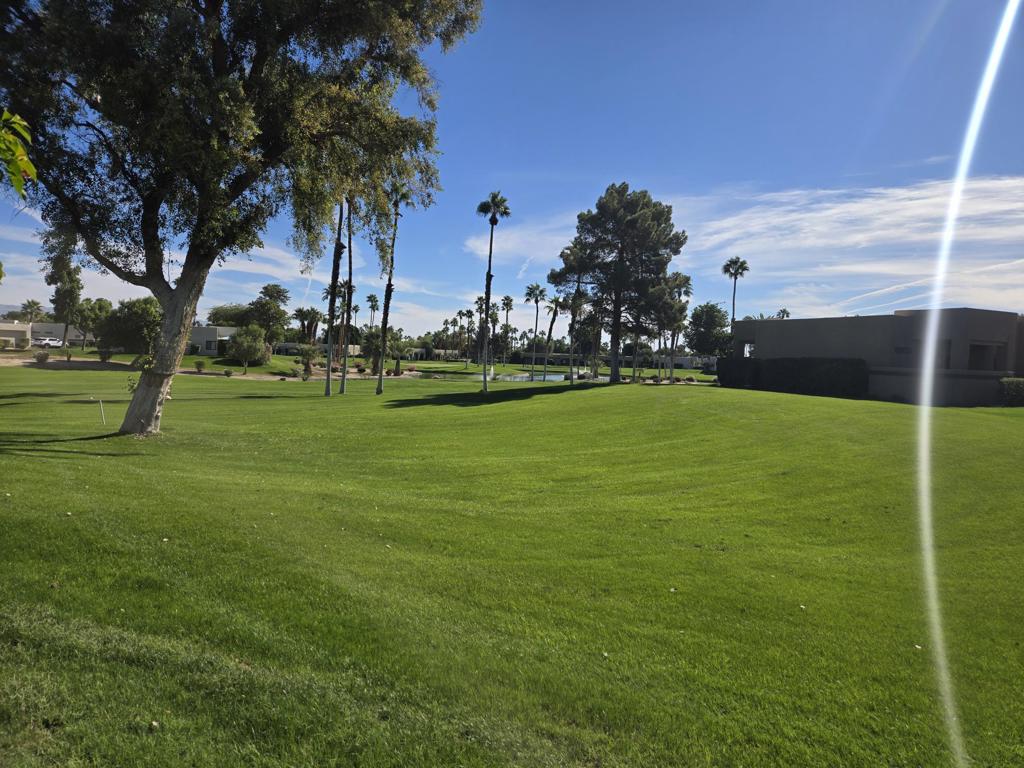 MLS #219138945DA image #4