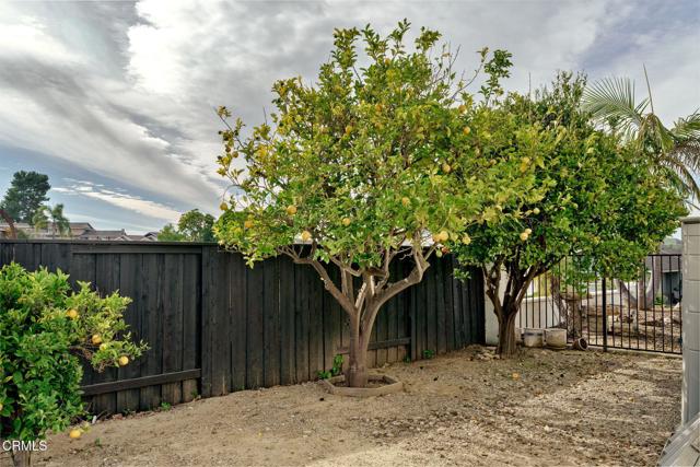 Detail Gallery Image 50 of 56 For 1020 via Cielito, Ventura,  CA 93003 - 4 Beds | 3 Baths