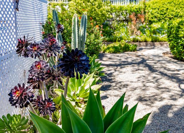 Detail Gallery Image 9 of 42 For 18218 Paradise Mountain Rd #116,  Valley Center,  CA 92082 - 2 Beds | 2 Baths