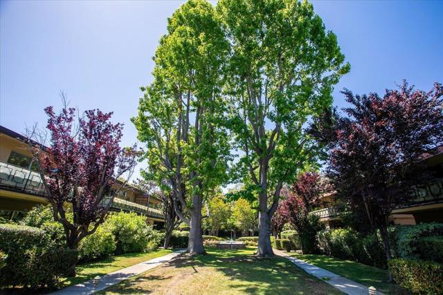 762 University Avenue, Palo Alto CA: https://media.crmls.org/mediaz/a43f3675-7eee-420a-b939-fa8192f1f090.jpg