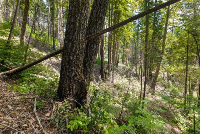 3 Bloom Grade, Boulder Creek CA: https://media.crmls.org/mediaz/a4431d44-dfc7-41d4-8e8b-3c8f737ca5ce.jpg