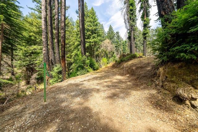 1035 Rambling Road, Boulder Creek CA: https://media.crmls.org/mediaz/a44c1452-a957-4aed-b4c3-6d6cdadfd30d.jpg