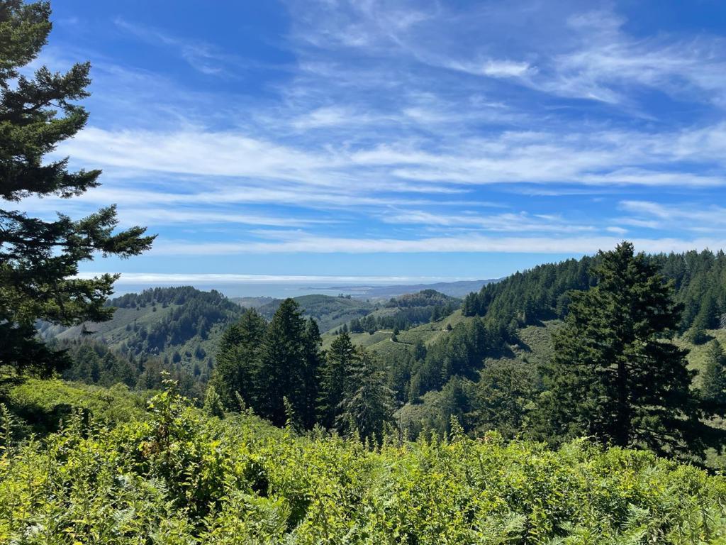 MLS #ML81979482 image #23