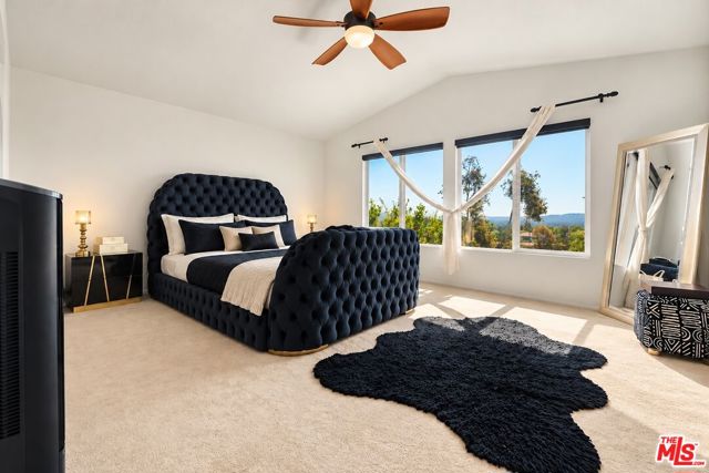 20542 Pesaro Way photo 16