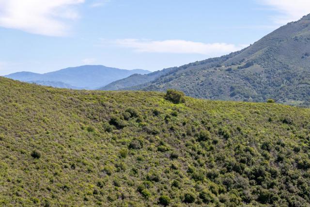 25625 Tierra Grande Drive, Carmel CA: https://media.crmls.org/mediaz/a4658198-0463-4d3b-907e-0b90ce1a263c.jpg