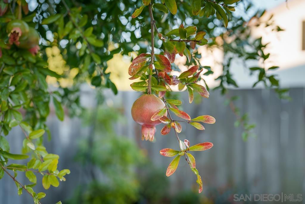 https://media.crmls.org/mediaz/a4833c96-4933-4011-b3f6-a8c4ec43f490.jpg?preset=X-Large
