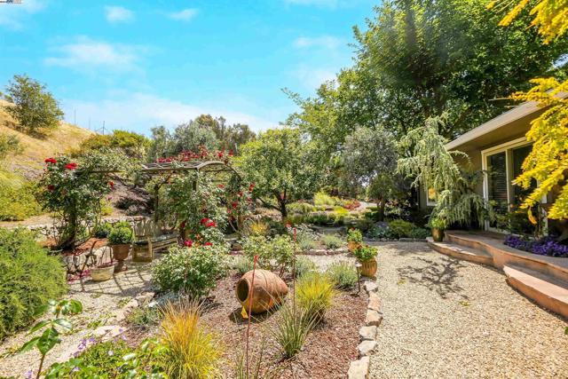 8700 Oak Tree Ln, Castro Valley CA: https://media.crmls.org/mediaz/a487aba1-ce8f-4b32-b50a-60332c7da81e.jpg