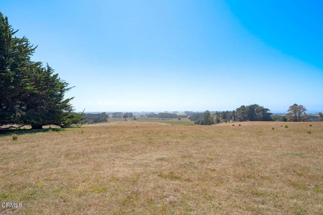 Detail Gallery Image 49 of 55 For 43001 Mountain View Rd, Manchester,  CA 95459 - – Beds | – Baths