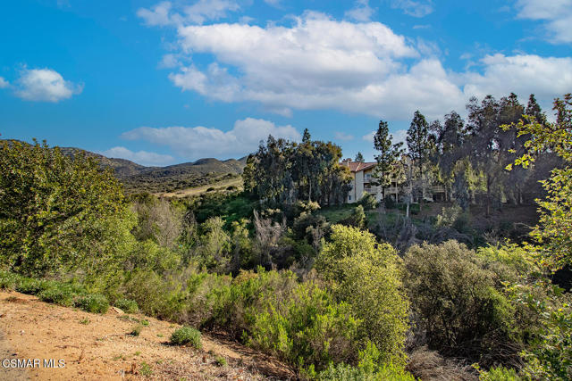 iShadow Ridge Community29