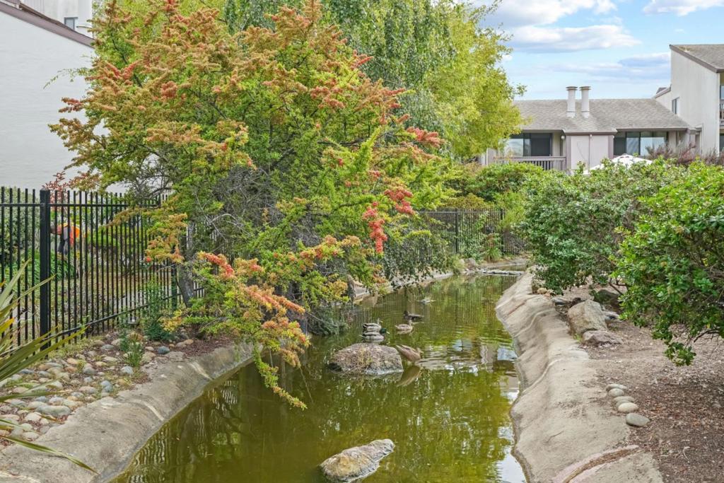 A48984E0 Bedc 482F B3B9 A66B3D174Ee7 2101 Shoreline Drive #437, Alameda, Ca 94501 &Lt;Span Style='BackgroundColor:transparent;Padding:0Px;'&Gt; &Lt;Small&Gt; &Lt;I&Gt; &Lt;/I&Gt; &Lt;/Small&Gt;&Lt;/Span&Gt;