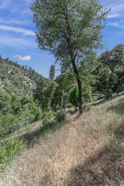 18757 Sunrise Way, Tuolumne CA: https://media.crmls.org/mediaz/a48af399-901e-4d85-98a1-0f62fe8edafe.jpg
