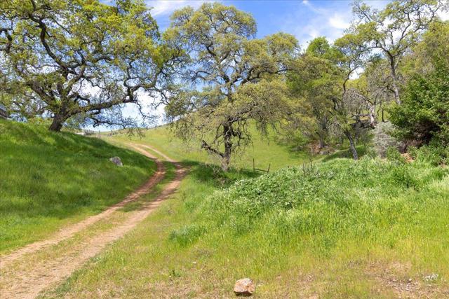 Image 8 of 42 For 0 Mt Hamilton