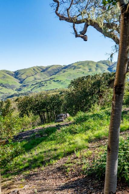 33732 E Carmel Valley Road, Carmel Valley CA: https://media.crmls.org/mediaz/a4a3481e-150d-458c-b0f3-09aba01e9b4d.jpg