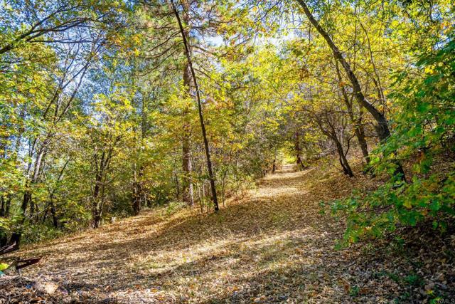 Detail Gallery Image 50 of 54 For 2810 Three Peaks Ln, Julian,  CA 92036 - 3 Beds | 2/1 Baths