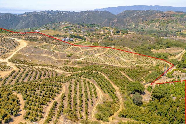 Detail Gallery Image 18 of 40 For 45000 Rancho Fallbrook Rd, Temecula,  CA 92590 - – Beds | – Baths