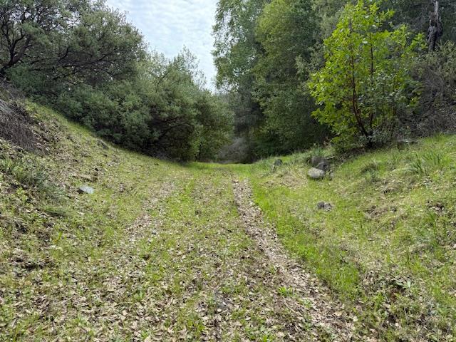 11 Little Uvas Road, Morgan Hill CA: https://media.crmls.org/mediaz/a4ba0673-6ffd-4ef7-bc26-b9183336478f.jpg