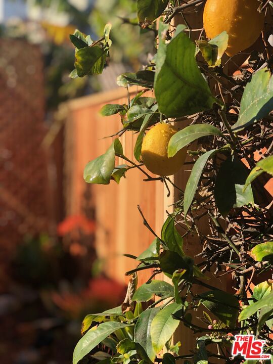 MLS #25616575 image #16