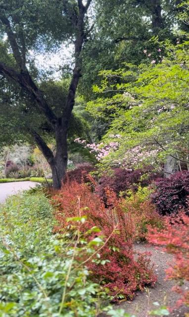 21106 Brush Road, Los Gatos CA: https://media.crmls.org/mediaz/a4c6f3cb-328d-4762-b664-e937fa46bdf5.jpg