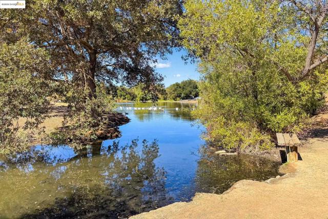 1515 Schenone Ct, Concord CA: https://media.crmls.org/mediaz/a4d05865-5aff-454c-b7d5-b2ec8a33074f.jpg