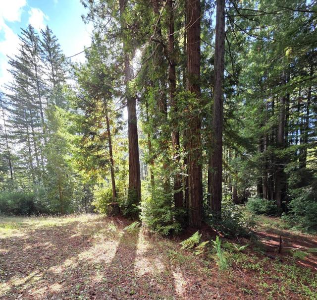 1140 Warren Drive, Santa Cruz CA: https://media.crmls.org/mediaz/a4d9e343-012c-4398-8b59-78c04d3d271c.jpg