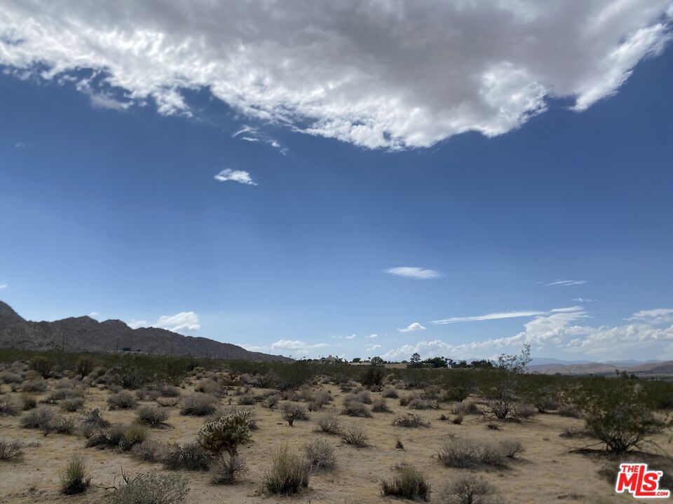 MLS #23332031 image #9
