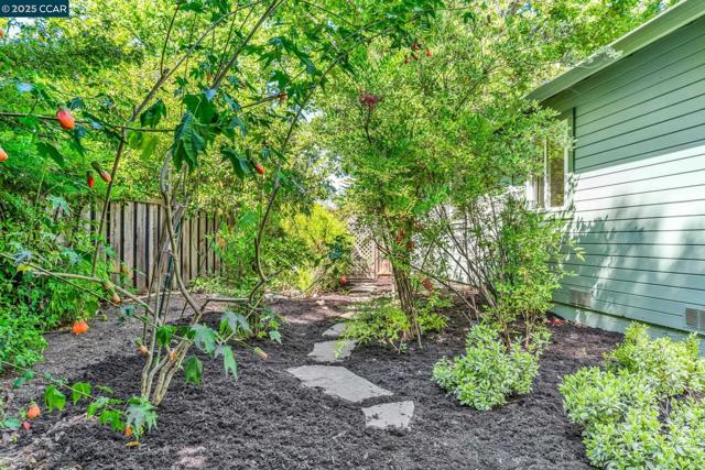 81 MAPLE LANE, Walnut Creek CA: https://media.crmls.org/mediaz/a4db41da-f101-4004-92e1-6de8620bd853.jpg