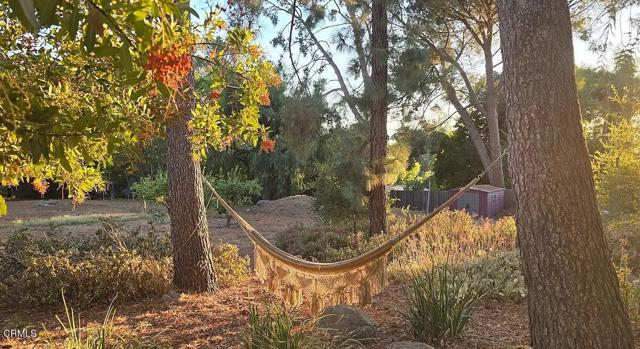 Detail Gallery Image 50 of 58 For 1450 Mcandrew Rd, Ojai,  CA 93023 - 4 Beds | 2 Baths