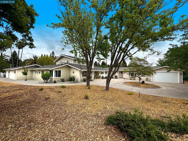 2200 Tice Valley Blvd +3BR ADU, Walnut Creek CA: https://media.crmls.org/mediaz/a4df6252-8f64-4c41-b6a4-31d659586112.jpg