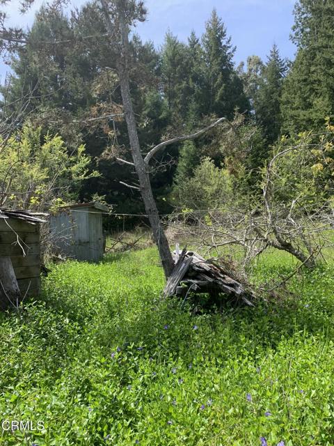 Detail Gallery Image 8 of 41 For 23501 Branscomb Rd, Westport,  CA 95488 - – Beds | – Baths