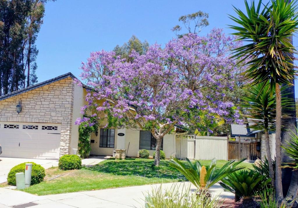11330 Vista La Cuesta Drive