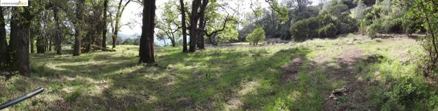 Image 8 of 11 For 39305 Pine Mountain Road