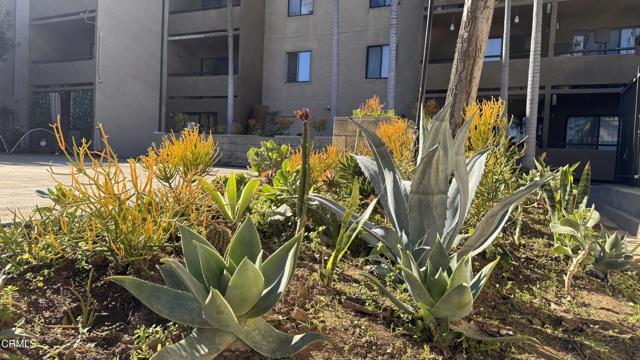 Detail Gallery Image 36 of 37 For 1450 Locust Ave #425,  Long Beach,  CA 90813 - 1 Beds | 1 Baths