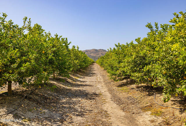 13721 Telegraph Road, Santa Paula CA: https://media.crmls.org/mediaz/a4ebf48e-508f-4f7a-8e9f-423571e44f97.jpg