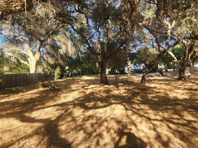 0 Highway 67, Ramona CA: https://media.crmls.org/mediaz/a4ee1474-f722-4274-85e2-5196b51b3c39.jpg