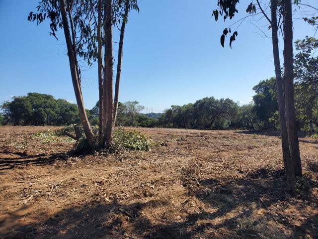 19705 Moonglow Road, Salinas CA: https://media.crmls.org/mediaz/a4fd4a5c-e31e-46e9-9dec-8b2706f3198a.jpg