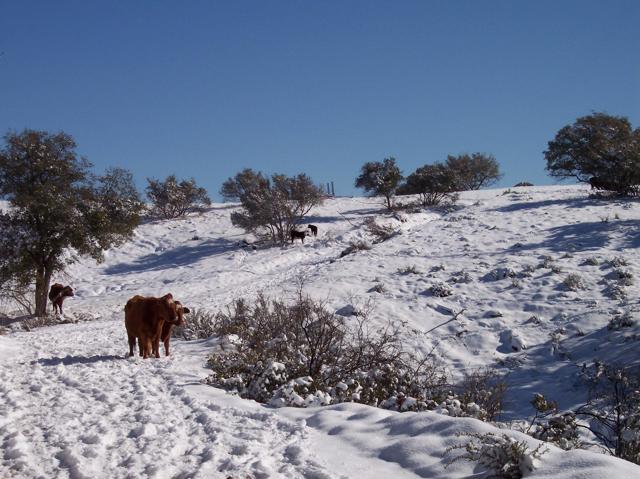Image 68 of 75 For 25730 Eagle Gap Road