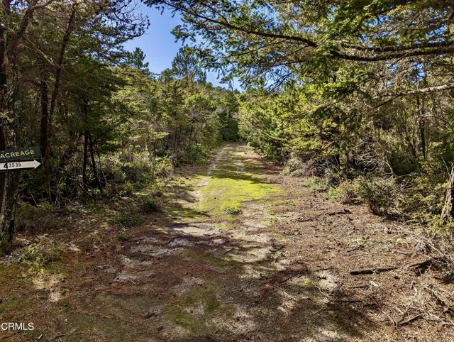 Detail Gallery Image 18 of 18 For 43535 Comptche Ukiah Rd, Mendocino,  CA 95460 - – Beds | – Baths