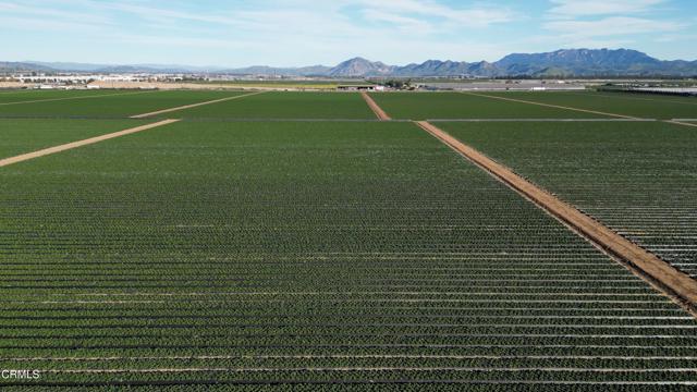 Detail Gallery Image 8 of 10 For 2151 E Wooley Rd, Oxnard,  CA 93030 - – Beds | – Baths