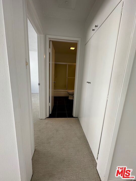 Hallway and Built in cabinet