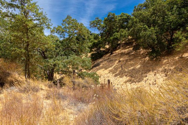 0 Oak Glen Avenue, Morgan Hill CA: https://media.crmls.org/mediaz/a513d550-d295-4c5e-9cd2-69c794394265.jpg