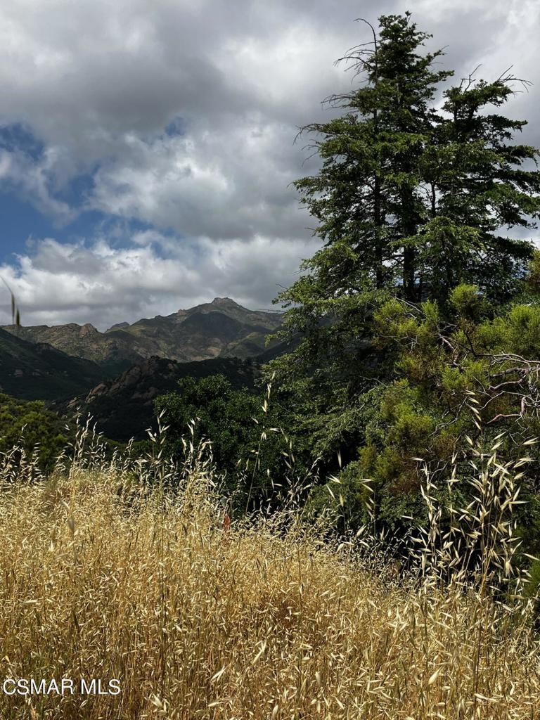 https://media.crmls.org/mediaz/a51764c7-5dc5-45d8-adf1-b19bb2ad891f.jpg?preset=X-Large