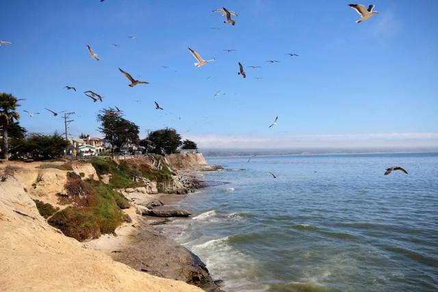 334 Anchorage Avenue, Santa Cruz CA: https://media.crmls.org/mediaz/a51f6bd2-d980-4136-9dd0-82e17fcfa54a.jpg