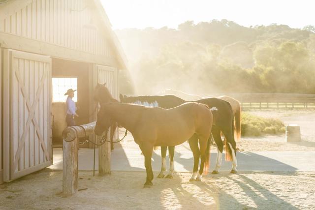 4 Goodrich Trail (Lot E13), Carmel CA: https://media.crmls.org/mediaz/a524575c-9382-4d39-a1b3-809d55ed2d86.jpg