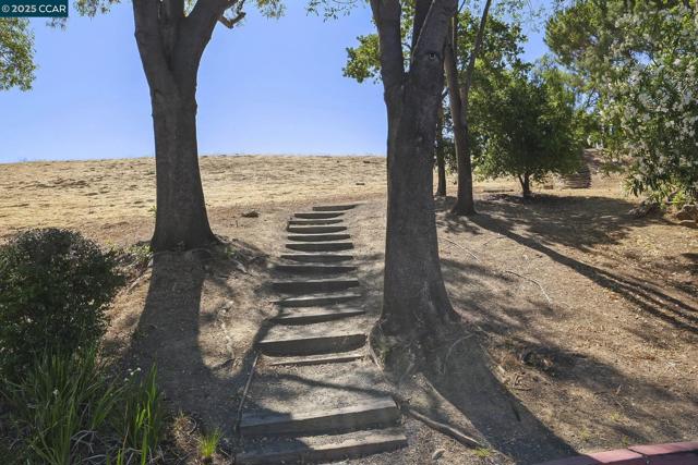 2510 Tea Tree Ct, Martinez CA: https://media.crmls.org/mediaz/a52bb4d5-268d-4a5d-9db6-ceed84465782.jpg