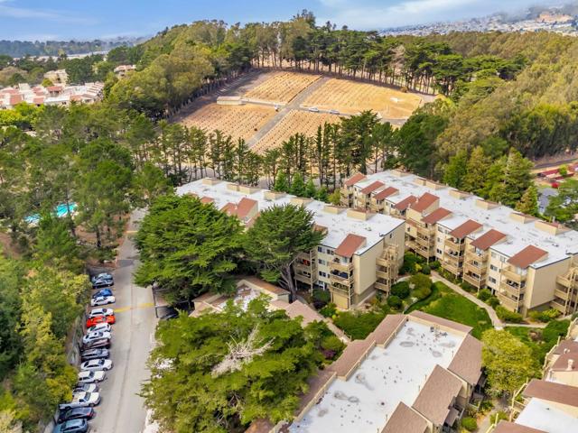 377 Mandarin Drive, Daly City CA: https://media.crmls.org/mediaz/a52dc488-9353-4eef-ad60-22a5f06c24df.jpg
