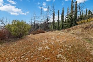 1005 Pinecrest Drive, Boulder Creek CA: https://media.crmls.org/mediaz/a5316e12-3650-4630-824e-fef43a91fab7.jpg