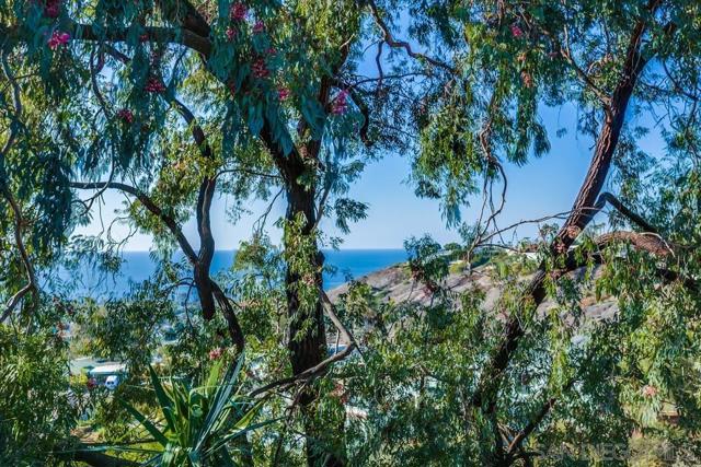 Image 27 of 41 For 896 La Jolla Rancho Rd